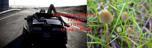 кокс Алзамай